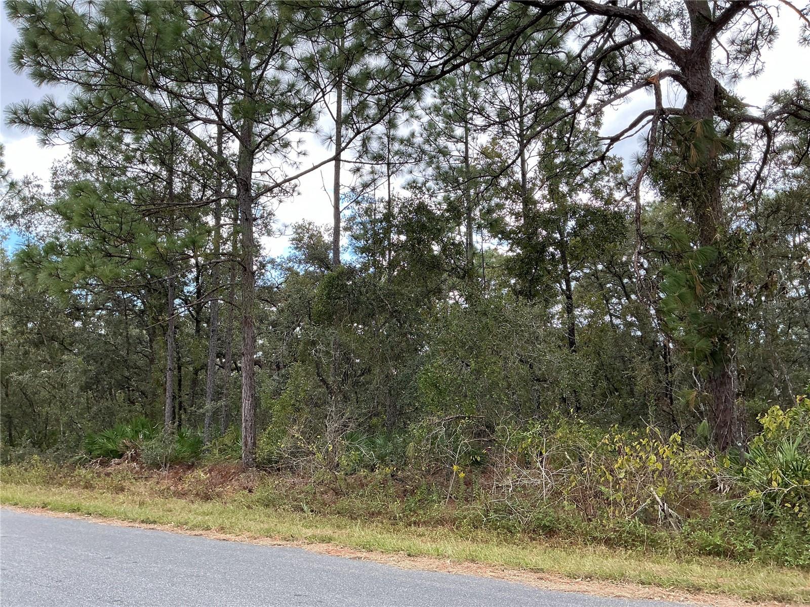 ROYAL HIGHLANDS UNIT 4 - Land