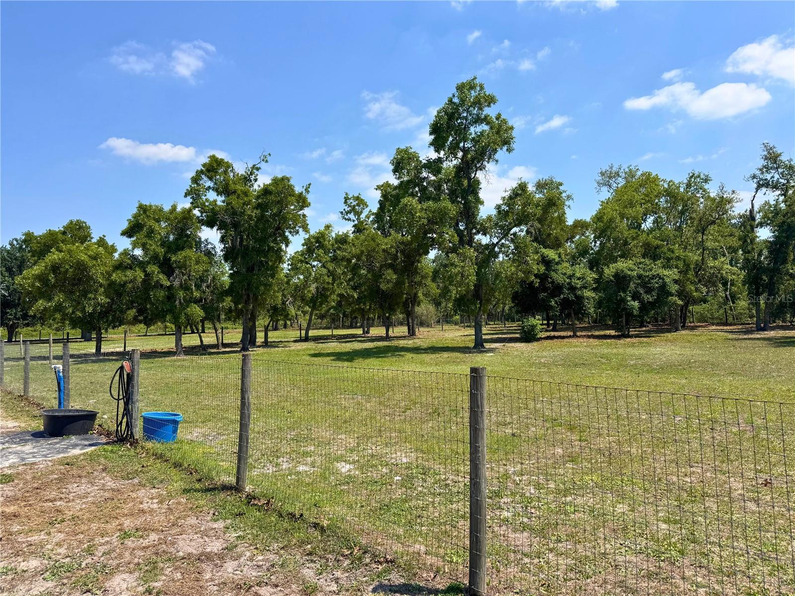 31331 WASHINGTON LOOP ROAD