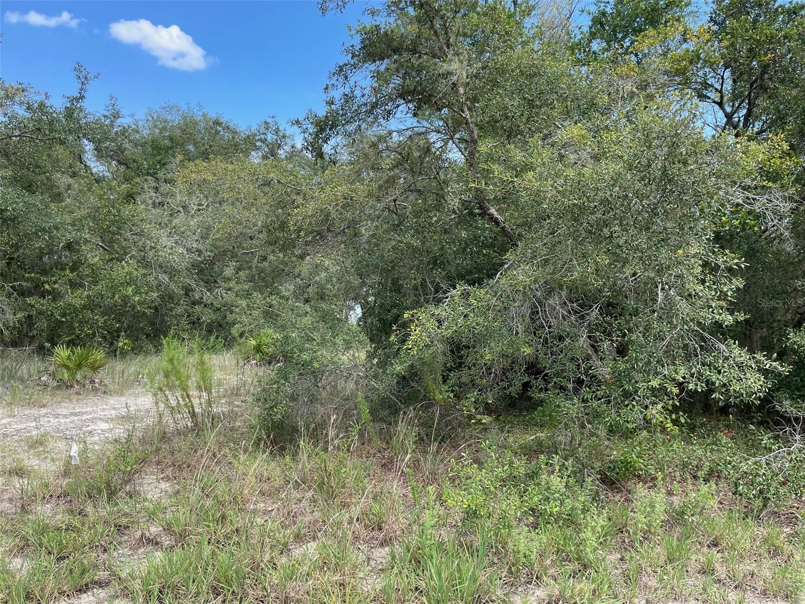 RAINBOW LAKES ESTATES - Land