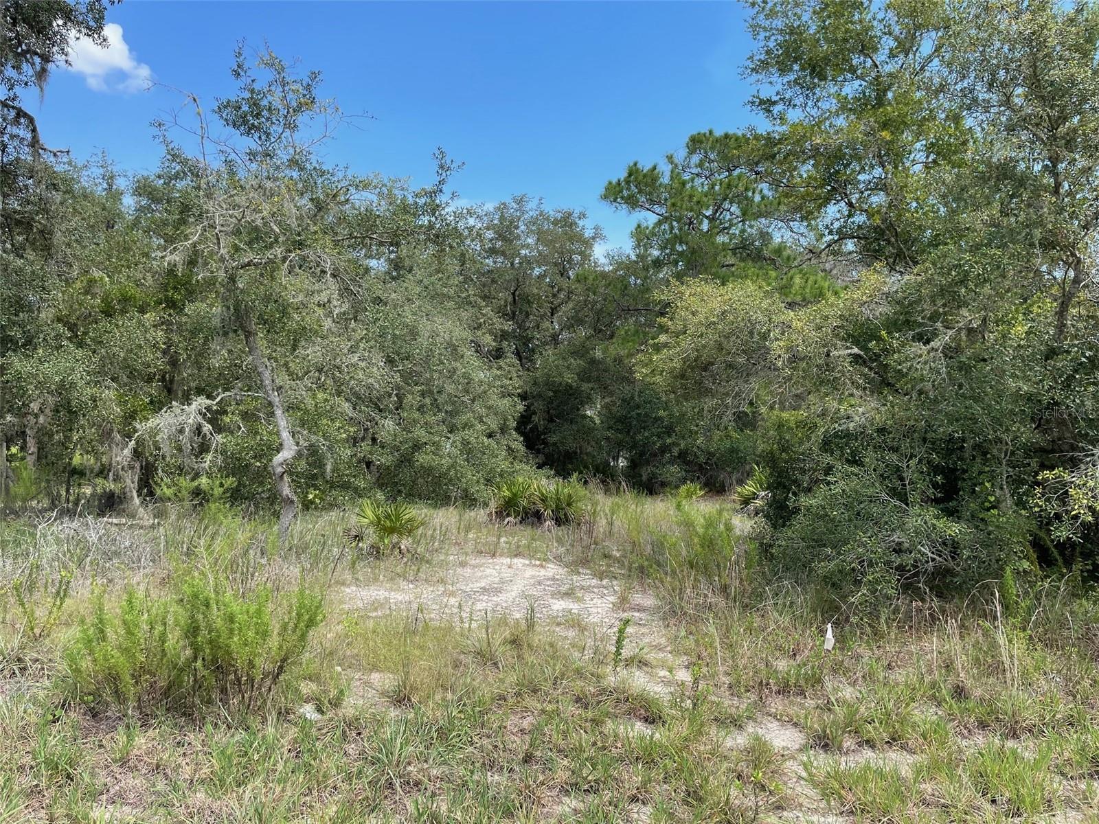 AWESOME LAKE FRONT PROPERTY ON A LITTLE LESS THAN 1/2 ACRE (0.41 Acres) LOCATED IN RAINBOW LAKES ESTATES WITH NO HOA OR TIME LIMIT TO BUILD (No Mobile Homes). PEACEFUL AND SERENE THIS HOMESITE IS NICELY TREED AND WOODED. WHAT A GREAT LOCATION TO BUILD YOUR DREAM HOME, VACATION HOME OR AIRBNB ON THE LAKE. LOCATED ON BONABLE LAKE THIS LOT IS PERFECT FOR BOATING, FISHING AND KAYAKING RIGHT AT YOUR DOOR STEP! JUST IMAGINE ENJOYING THE BEAUTIFUL VIEW AND RELAXING LAKE FRONT TAKING IN ALL THAT NATURE HAS TO OFFER AND OUR GREAT FLORIDA WEATHER. RAINBOW LAKES ESTATES OFFERS MANY FEATURES INCLUDING 2 PLAYGROUUNDS AND PARK, EXERCISE ROOM, COMMUUNITY CENTER AND TENNIS, BASKETBALL AND RACQUETBALL COURT. CONVENIENT TO DOWNTOWN DUNNELLON GREAT FOR QUAINT ANTIQUE SHOPS, RESTAURANTS AND SHOPPING, OCALA, CRYSTAL RIVER, GULF OF MEXICO, WORLD EQUESTRIAN CENTER FOR WORLD CLASS EQUESTRIAN SPORT AND THE BEAUTIFUL CRYSTAL-CLEAR WATERS OF RAINBOW SPRING STATE PARK WHERE YOU CAN ENJOY SWIMMING, SNORKELING, TUBING AND PICNICING.
