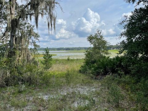 LOTS 462 & 463 SW SHOREWOOD DRIVE DUNNELLON FL 34431