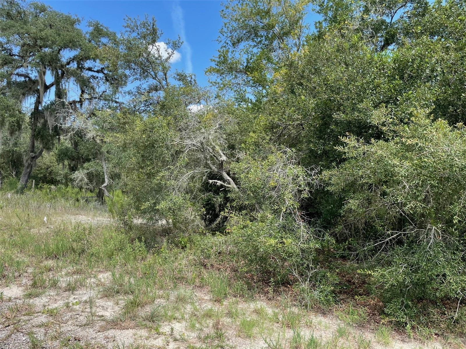 RAINBOW LAKES ESTATES - Land