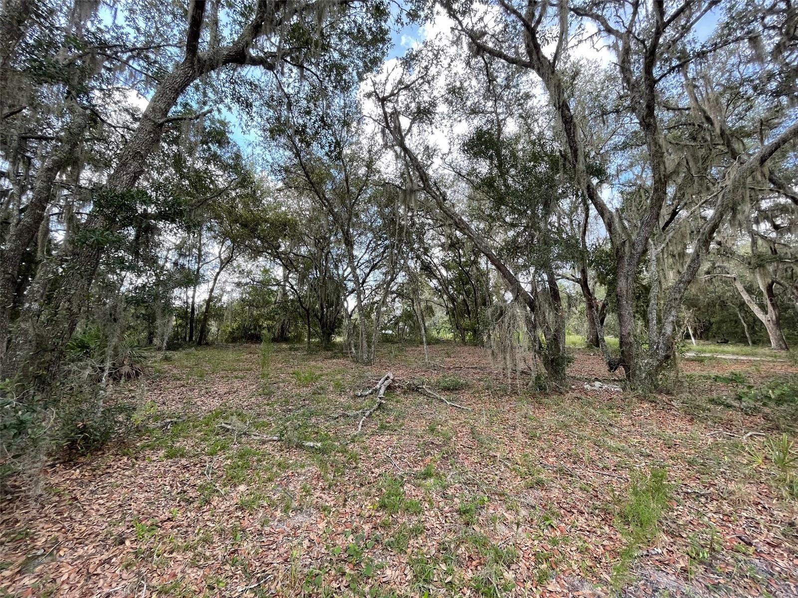 RAINBOW LAKES ESTATES - Land