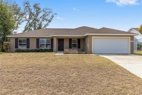 Photo of 3790 SW 137th Place, Ocala, FL 34473 (MLS # OM718619)