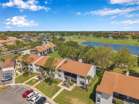 Photo of 2049 Skimmer Court W #311, Clearwater, FL 33762 (MLS # TB8401522)