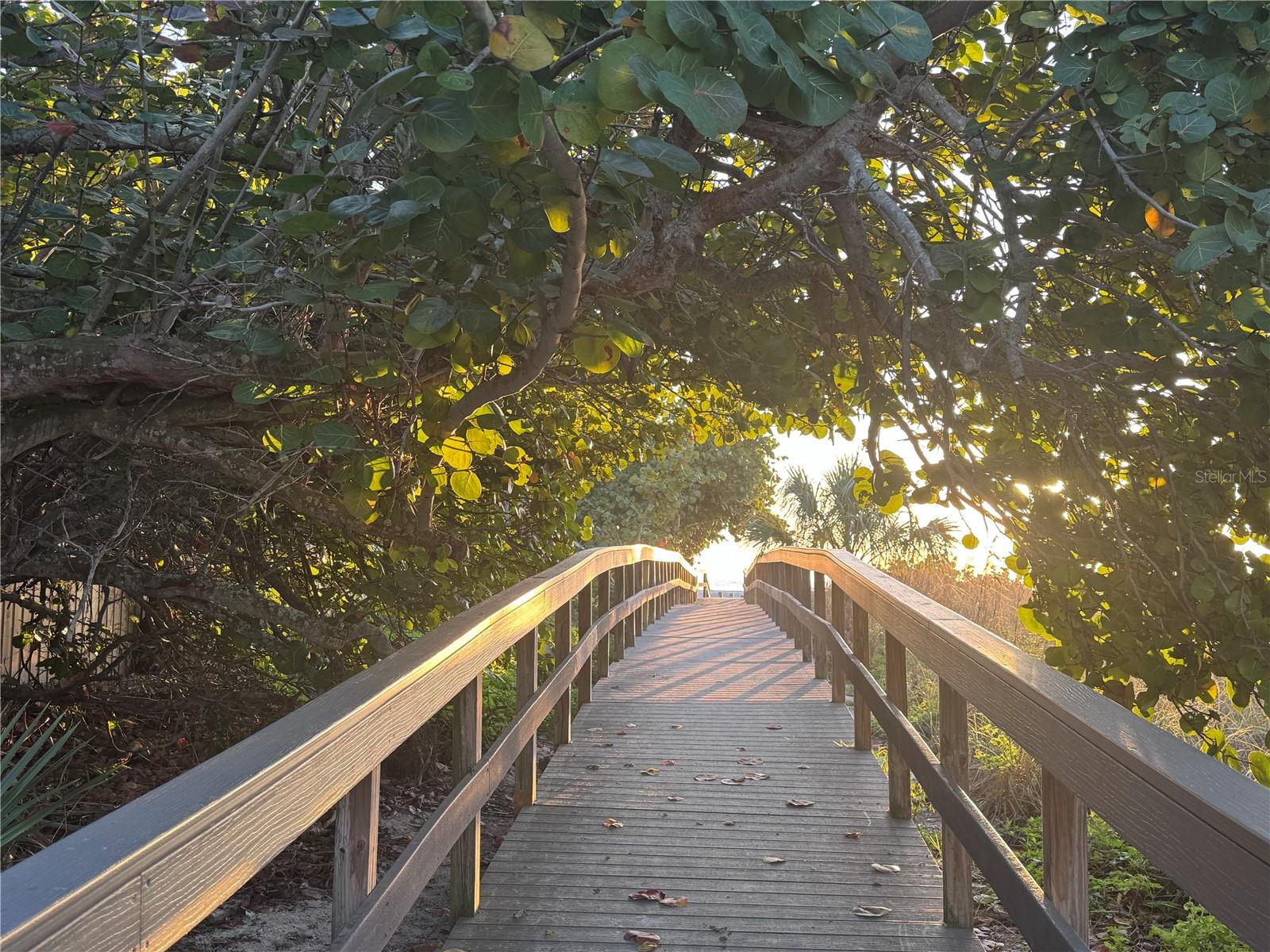 CONEY ISLAND - Residential