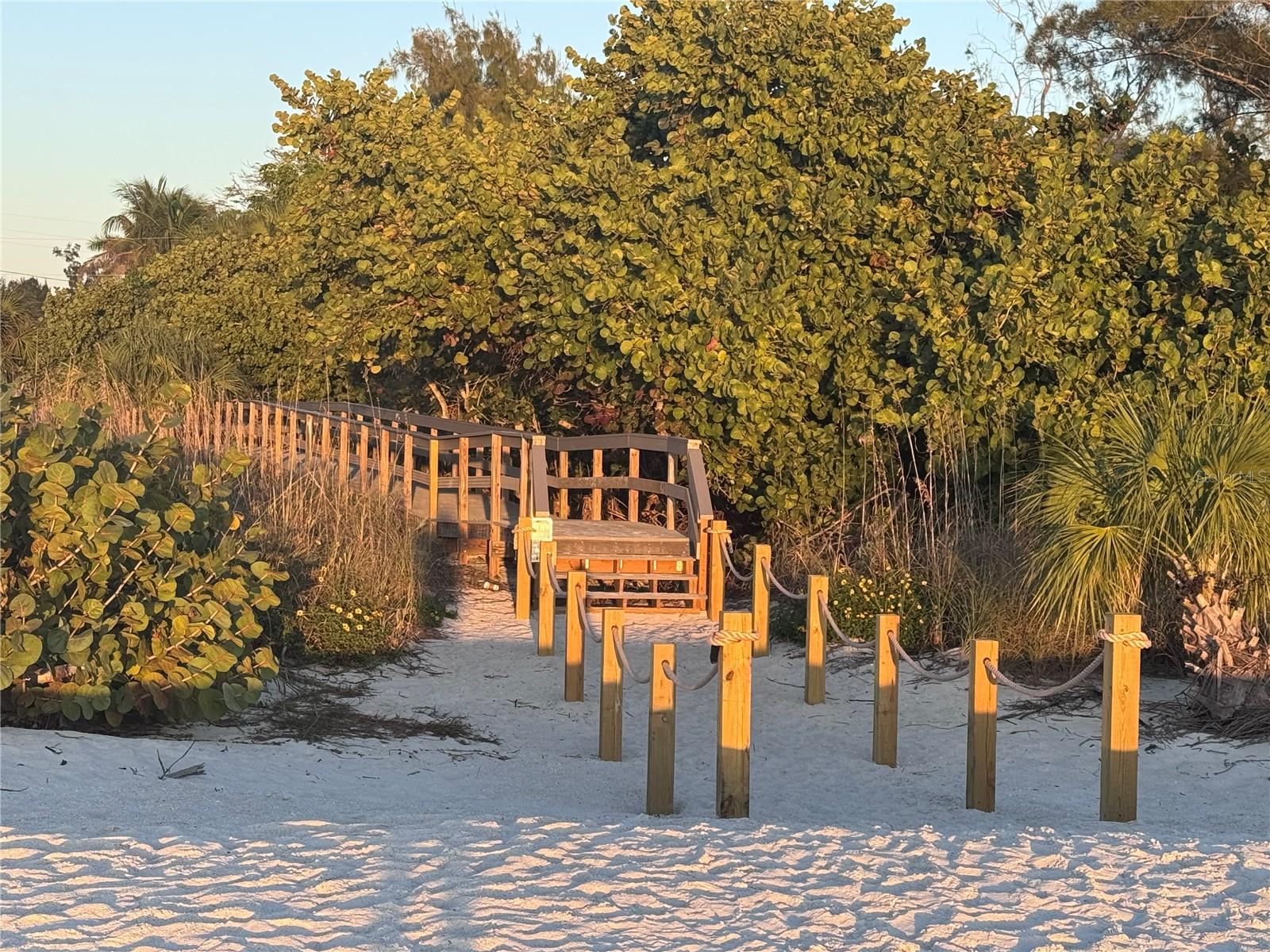 CONEY ISLAND - Residential