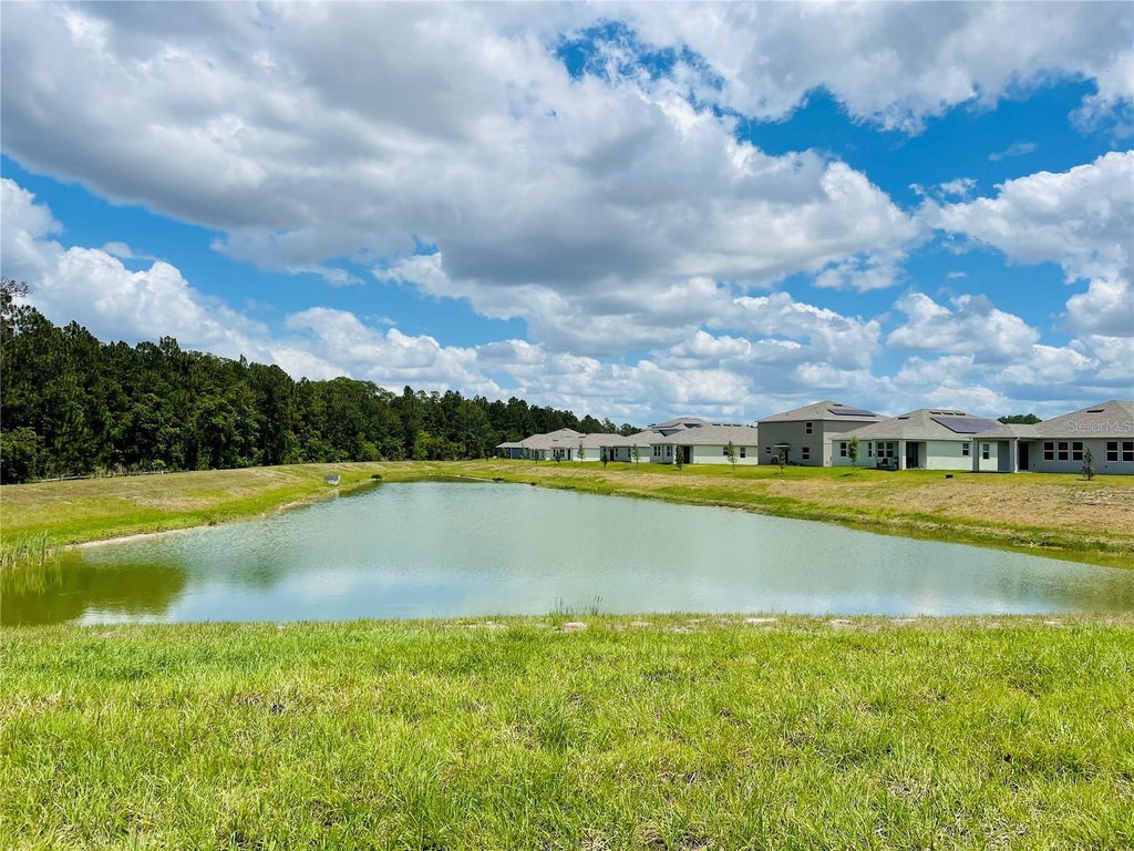 Photo of 4296 Blackshear Court, Clermont, FL 34714 (MLS # O6447875)