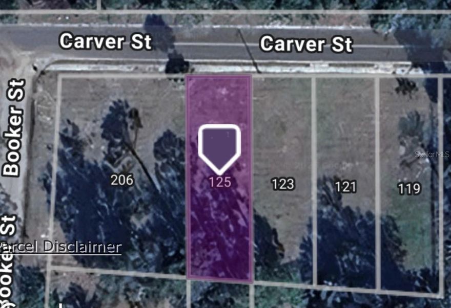 Fantastic opportunity to own a residential lot in a convenient and growing area of Palatka. Located on a quiet street, this parcel offers quick access to shopping, schools, medical facilities, and major highways. Ideal for a future homesite or investment property. This lot is being sold as a package deal with additional parcels at 119 Carver (OM714025), 121 Carver (OM714024), 123 Carver (OM714023), and 206 Booker (OM714021)—making it an excellent opportunity for investors or builders seeking multiple nearby properties. No HOA and no required build timeframe.