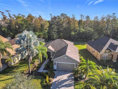 A home in KISSIMMEE