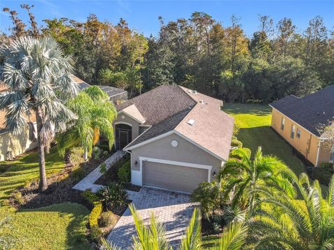 A home in KISSIMMEE