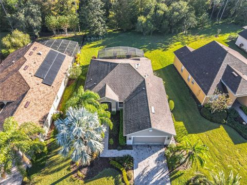 A home in KISSIMMEE