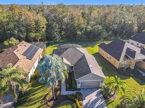 A home in KISSIMMEE