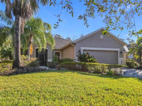 A home in KISSIMMEE