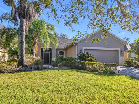 A home in KISSIMMEE