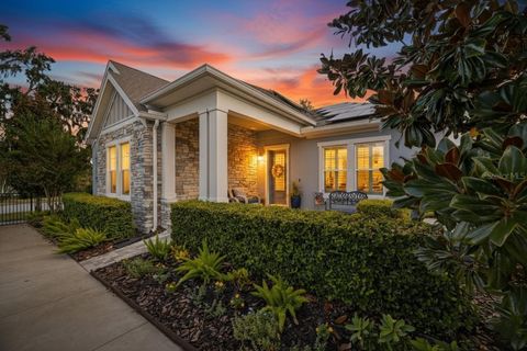 6002 SPARROWHEAD WAY LITHIA FL 33547