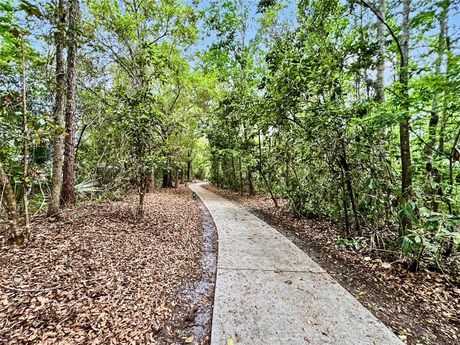 SIENA AT CELEBRATION CONDO A - Residential