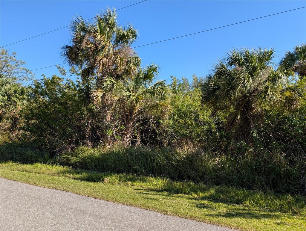 Photo of 13057 Batlin Avenue, Port Charlotte, FL 33953 (MLS # C7506896)