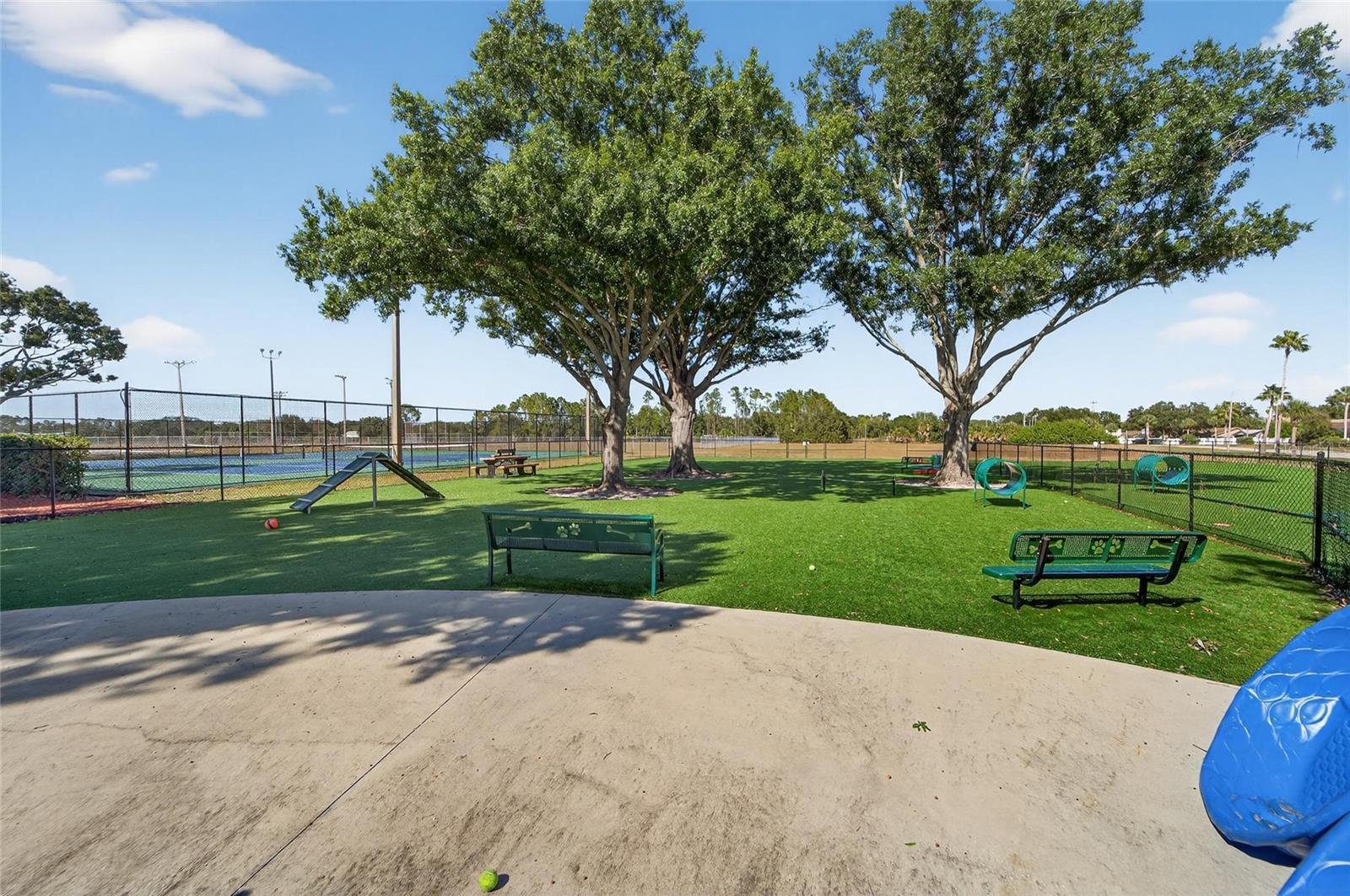 SUMMERFIELD VILLG 1 TRCT 29 - Residential Lease