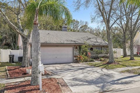 12030 STEPPINGSTONE BOULEVARD TAMPA FL 33635