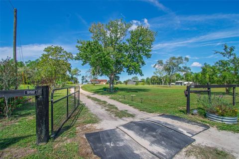 Tiny photo for 3250 NE 127th Court, Williston, FL 32696 (MLS # OM708996)