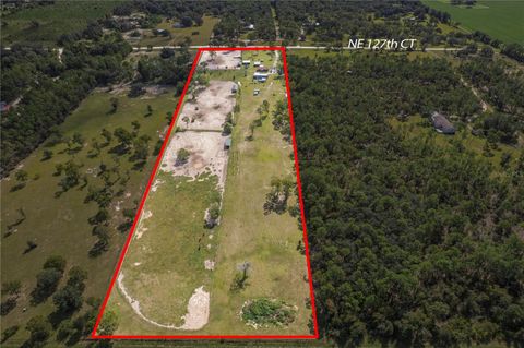 Tiny photo for 3250 NE 127th Court, Williston, FL 32696 (MLS # OM708996)