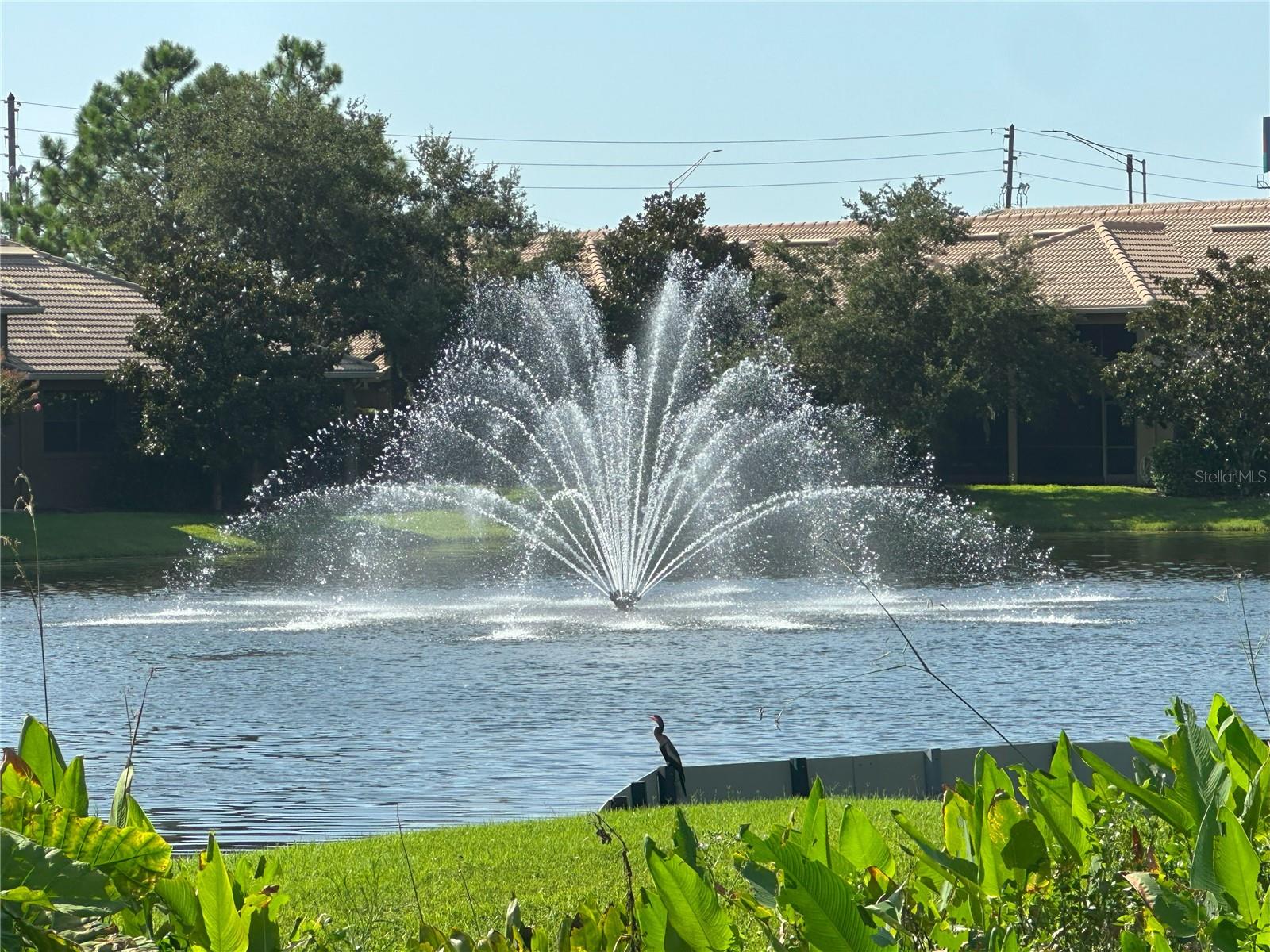 2567 GLORIOSA DRIVE