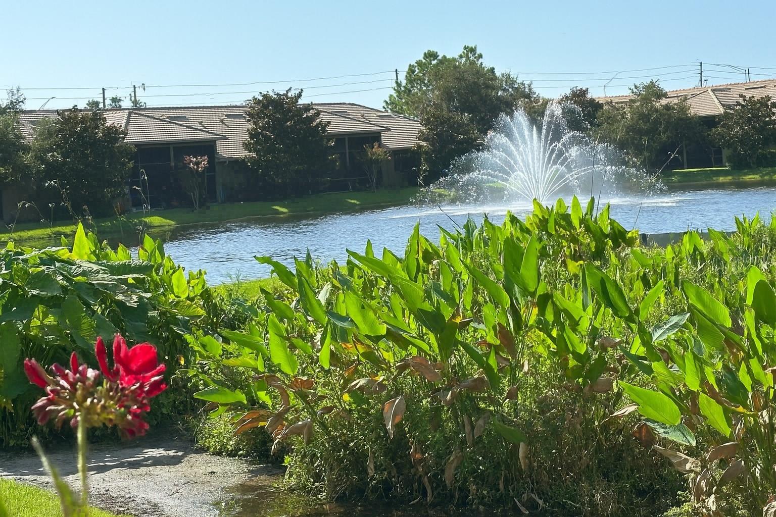 2567 GLORIOSA DRIVE