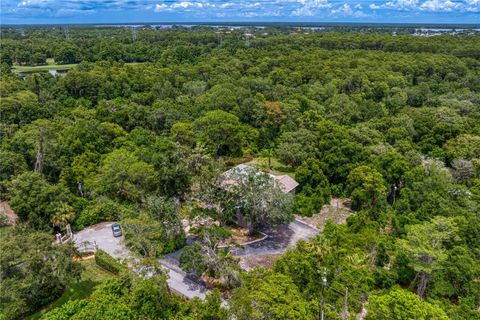 A home in PALM HARBOR