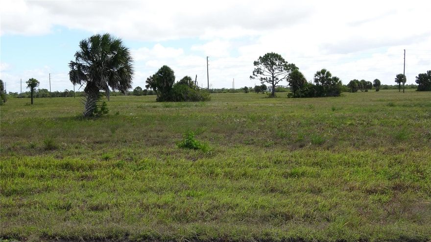 Multi-Family site allowing 4 units.  City Water and Sewer throughout community.  This large site is almost completely clear saving much on clearing costs.  Very low HOA fee of $150.  Building sparse to date in area but existing homes are very nice and has great potential.
CALL NOW!  LOWEST list price in area for rmf10.