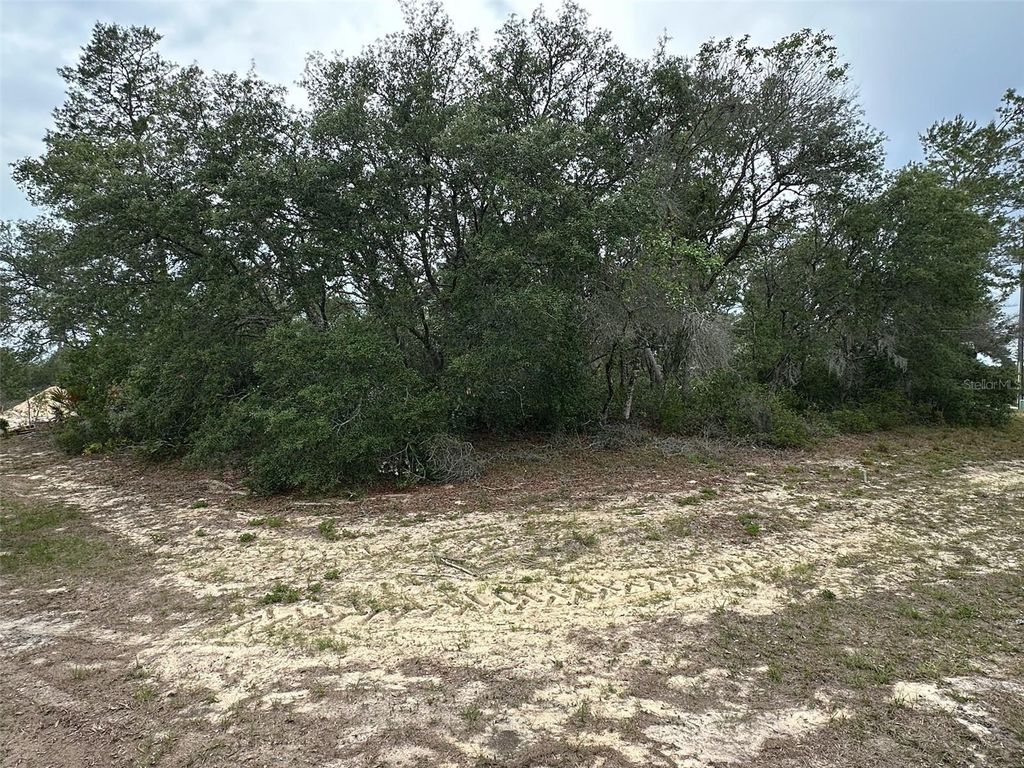 Photo of SW 168th Loop, Ocala, FL 34473 (MLS # O6359780)