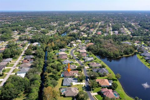 A home in PALM COAST