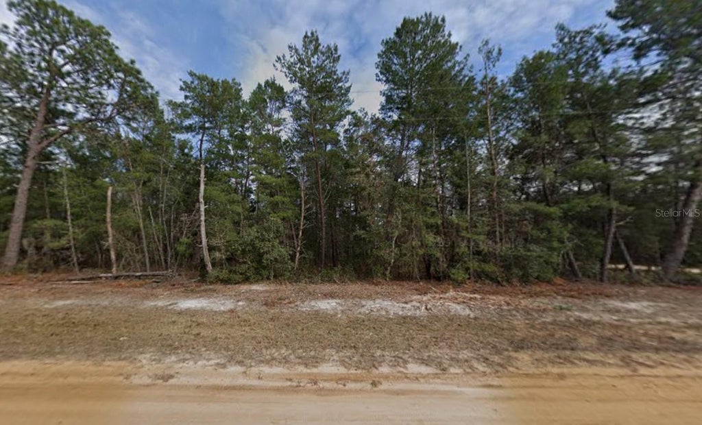 Photo of Creager Avenue, Interlachen, FL 32148 (MLS # K4903911)