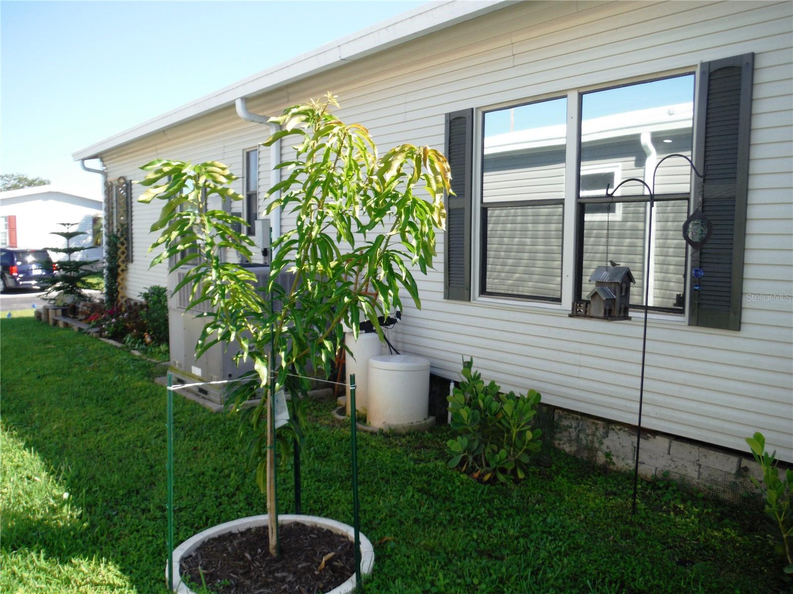 BRIAR CREEK MOBILE HOME COMMUNITY II CONDO - Residential