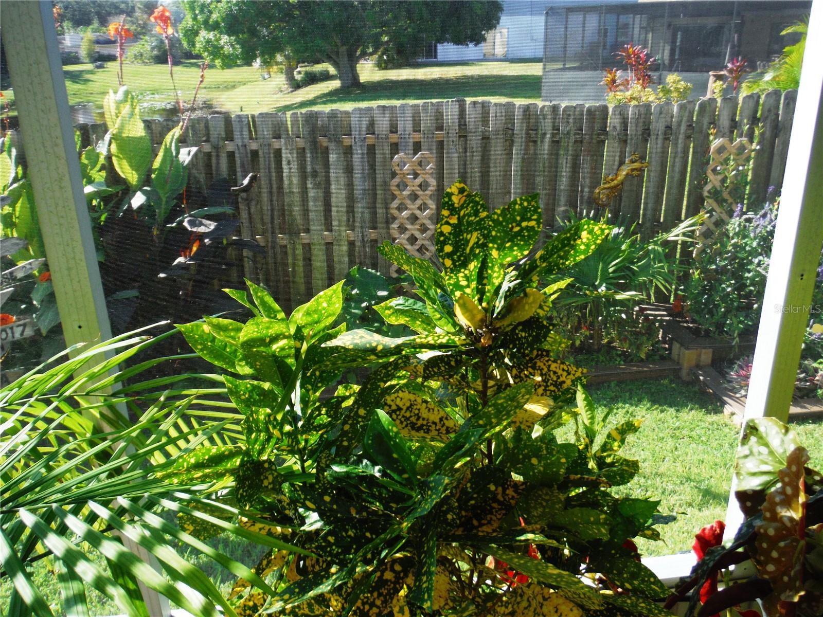 BRIAR CREEK MOBILE HOME COMMUNITY II CONDO - Residential