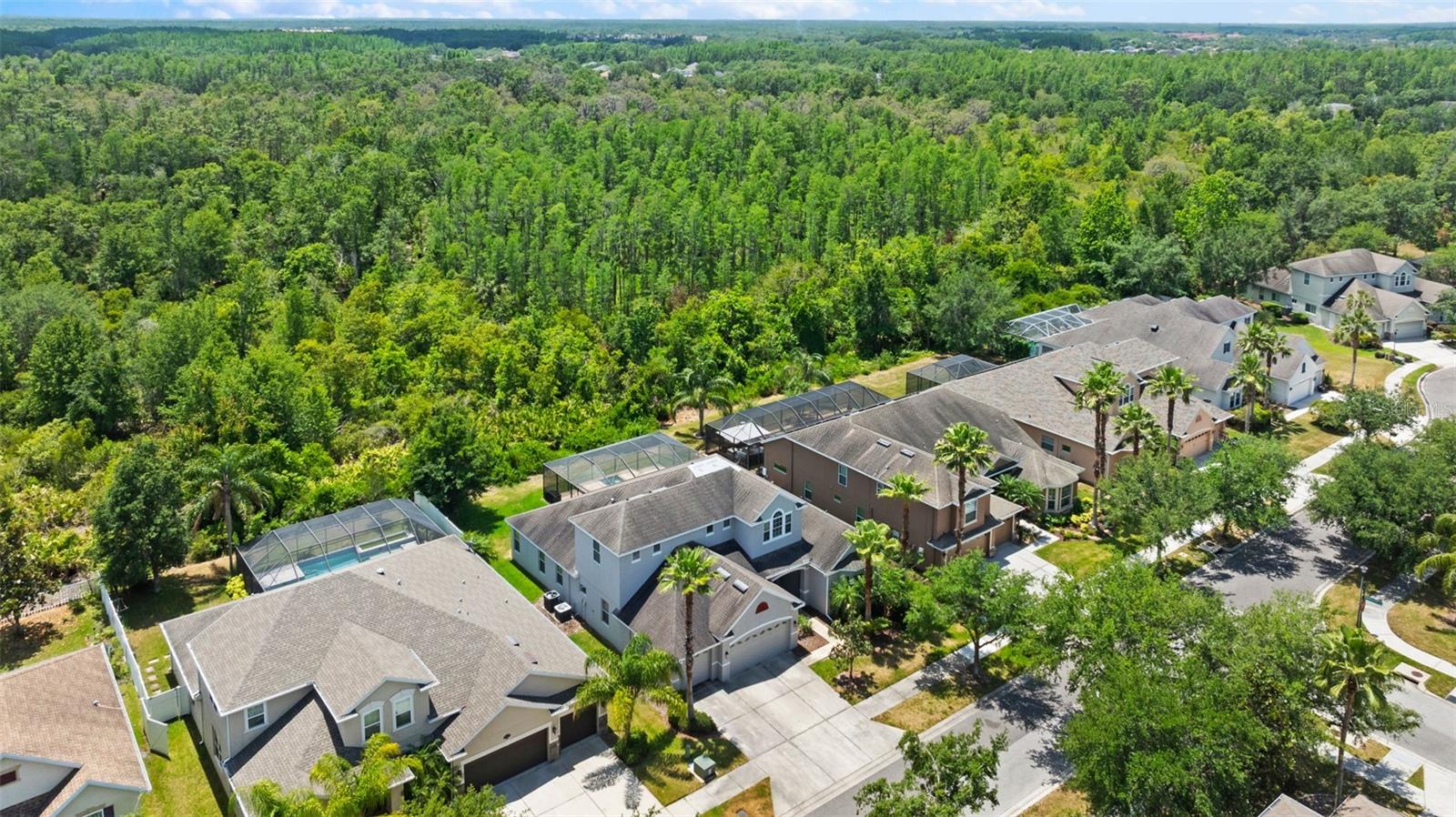 BASSET CREEK ESTATES PH 1 - Residential
