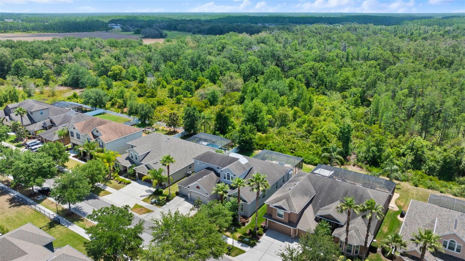 BASSET CREEK ESTATES PH 1 - Residential