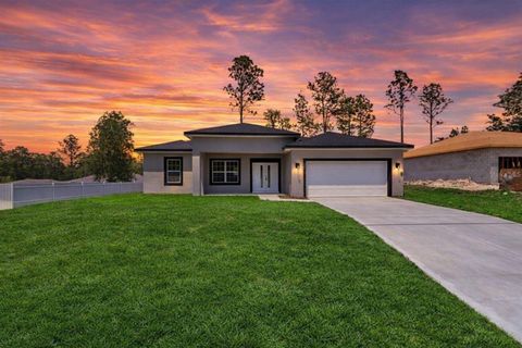 Photo of 2449 W Andromedae Drive, Citrus Springs, FL 34433 (MLS # O6301254)