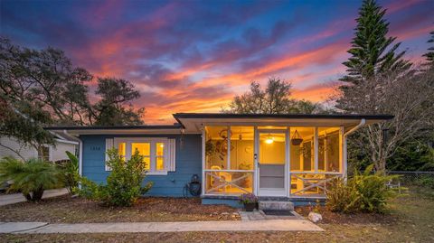 1256 NEW YORK AVENUE DUNEDIN FL 34698