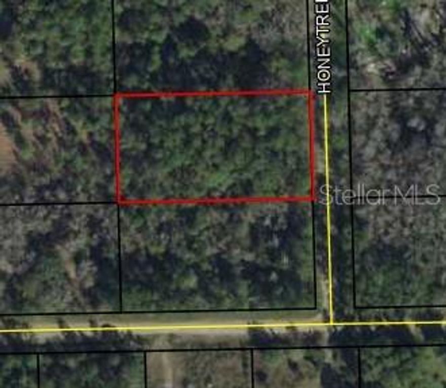 Looking for peace and quiet in the country side? This acre of land that is just minutes outside of Bunnell and Palm Coast. Located just off CR 305, with very little traffic. Room for all of your toys, work equipment, and farm animals free of restrictions. High and dry, build your new home.