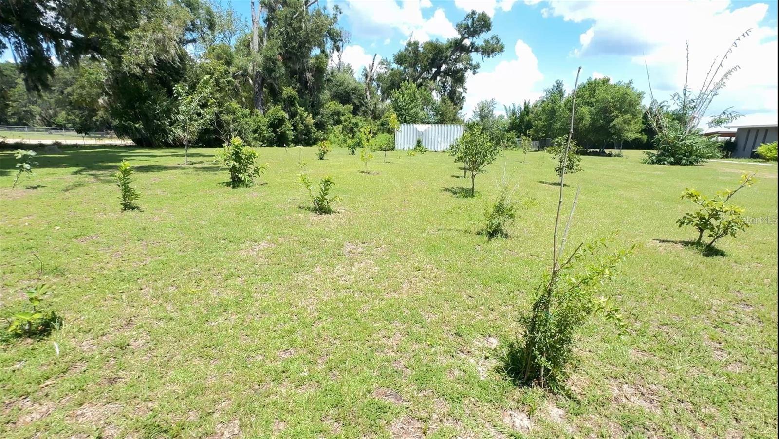 TRIANGLE HEIGHTS - Residential