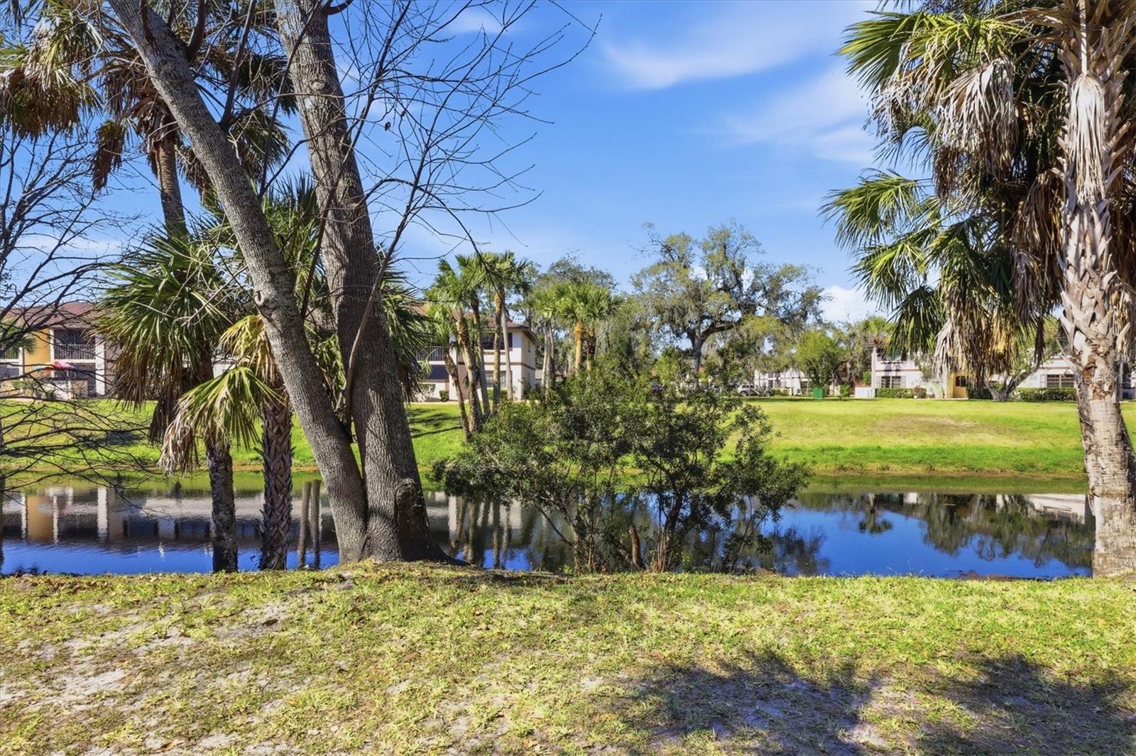 OAK FORREST - Residential