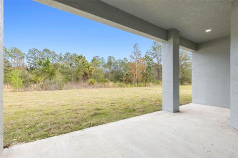 A home in PALM COAST