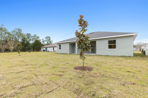 A home in PALM COAST