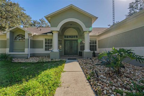 Photo of 14214 Cinnaman Lane, Weeki Wachee, FL 34614 (MLS # TB8443026)