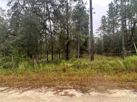 ADDRESS PRIVATE, FIVE POINTS, FL  - Image cb81edd4cc0e2a1d52539bf051f0be3c/2736008748