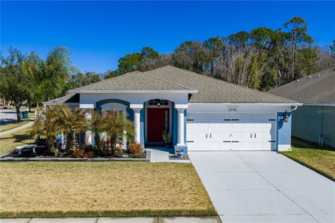 Photo of 5132 Quadrangle Court, Wesley Chapel, FL 33544 (MLS # L4959342)