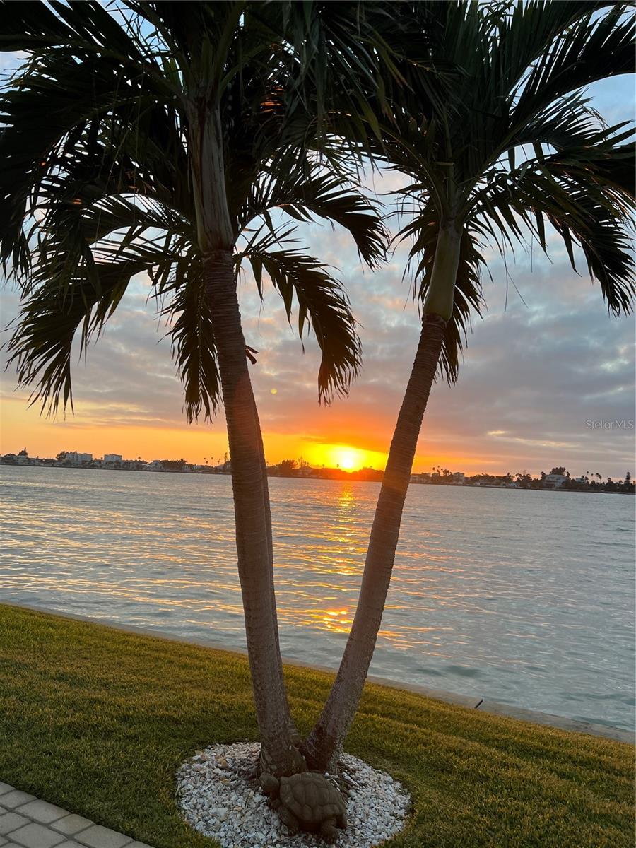 NIBROC CONDO - Residential