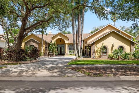 2513 REGAL RIVER ROAD VALRICO FL 33596