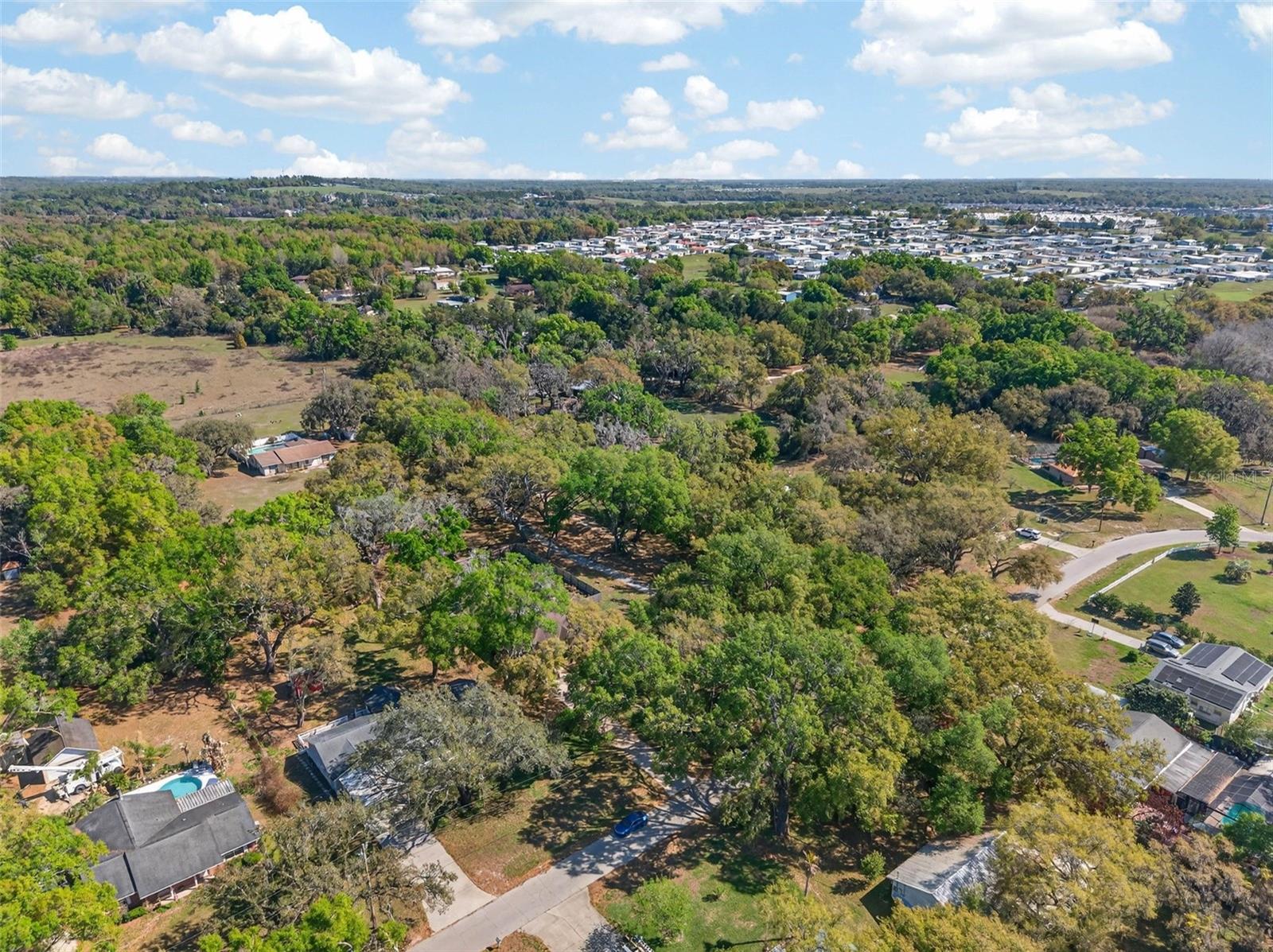 FORT KING ACRES - Residential